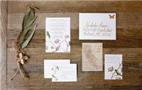 stationery, paper, invites, invitations