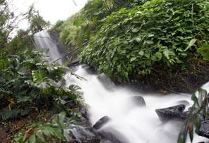 Eden Project