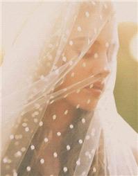 Miscellaneous. polka dot veil