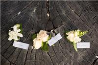 Flowers. flowers, boutonniere,