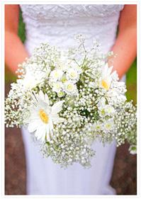 Flowers. flowers, bouquet, daisy