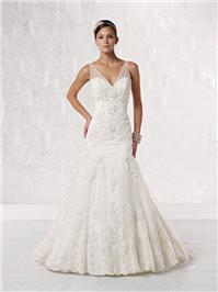 Attire. wedding dress, fitted, full skirt