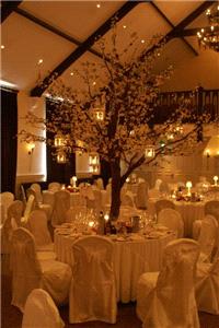 Wedding Venues