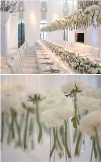 Decor & Event Styling