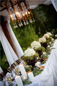 Decor & Event Styling