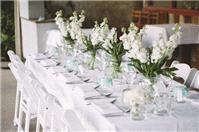 Decor & Event Styling