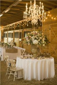 Decor & Event Styling