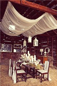 Decor & Event Styling