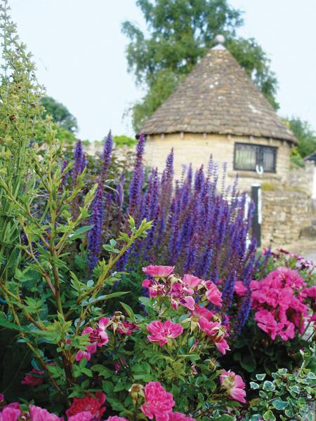 Gardens at Winkworth Farm