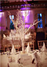 Decor & Event Styling