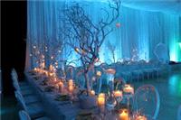 Decor & Event Styling