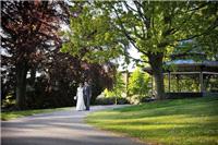 Wedding Venues