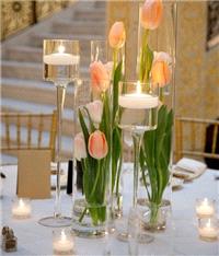 Decor & Event Styling