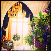 Wedding Venues