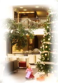 Wedding Venues. Christmas Time at the Cavan Crystal Hotel