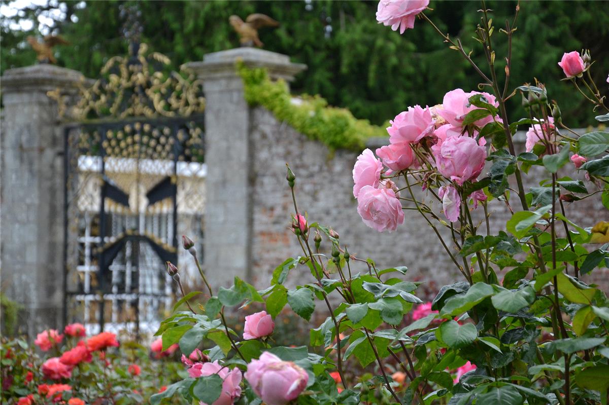 Summer Weddings at Powerscourt Estate