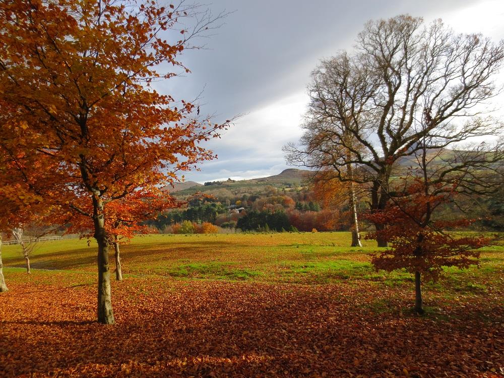 Autumn Weddings